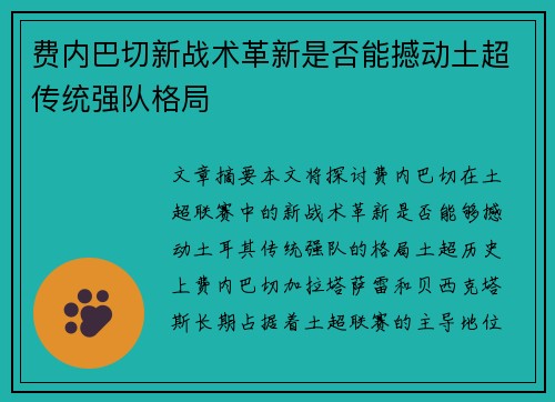 费内巴切新战术革新是否能撼动土超传统强队格局